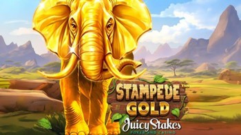 New Betsoft slot ‘Stampede Gold’ launches at Juicy Stakes Casino