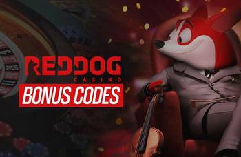 Red Dog Casino Bonus Codes 2023