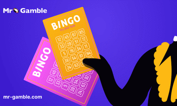 What Is Irish Bingo? A Comprehensive Guide
