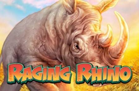 Slot Game of the Month: Raging Rhino Slot