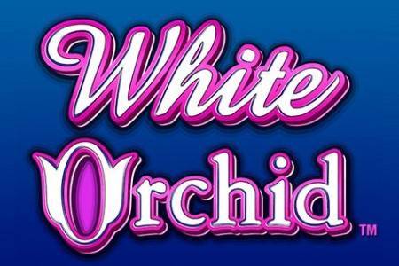 Slot Game of the Month: White Orchid Slots