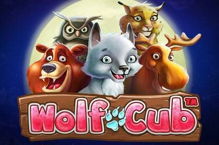 Recommended Slot Game To Play: Wolf Cub Slot
